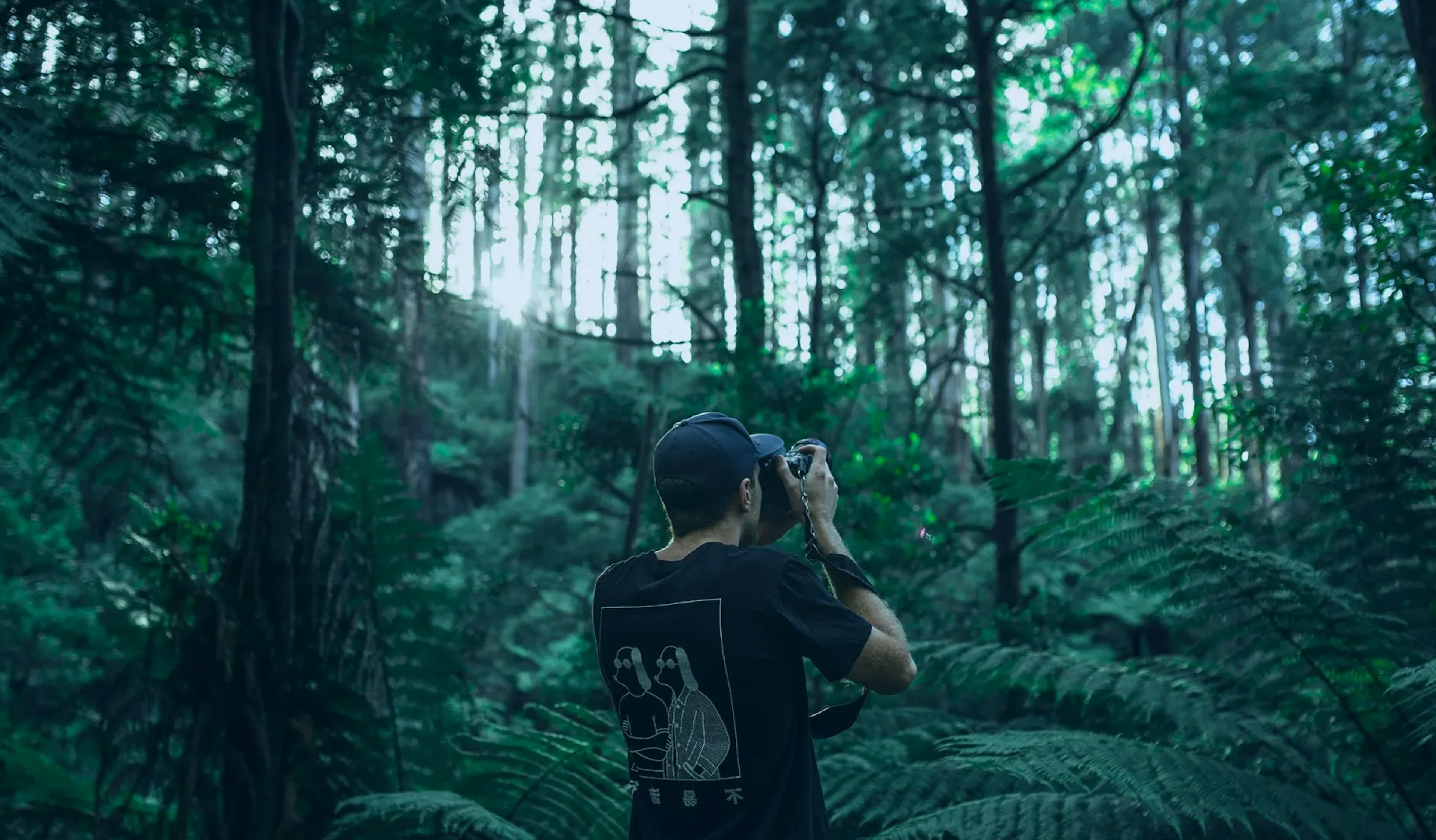 Fotografia przyrodnicza co musisz wiedzieć?