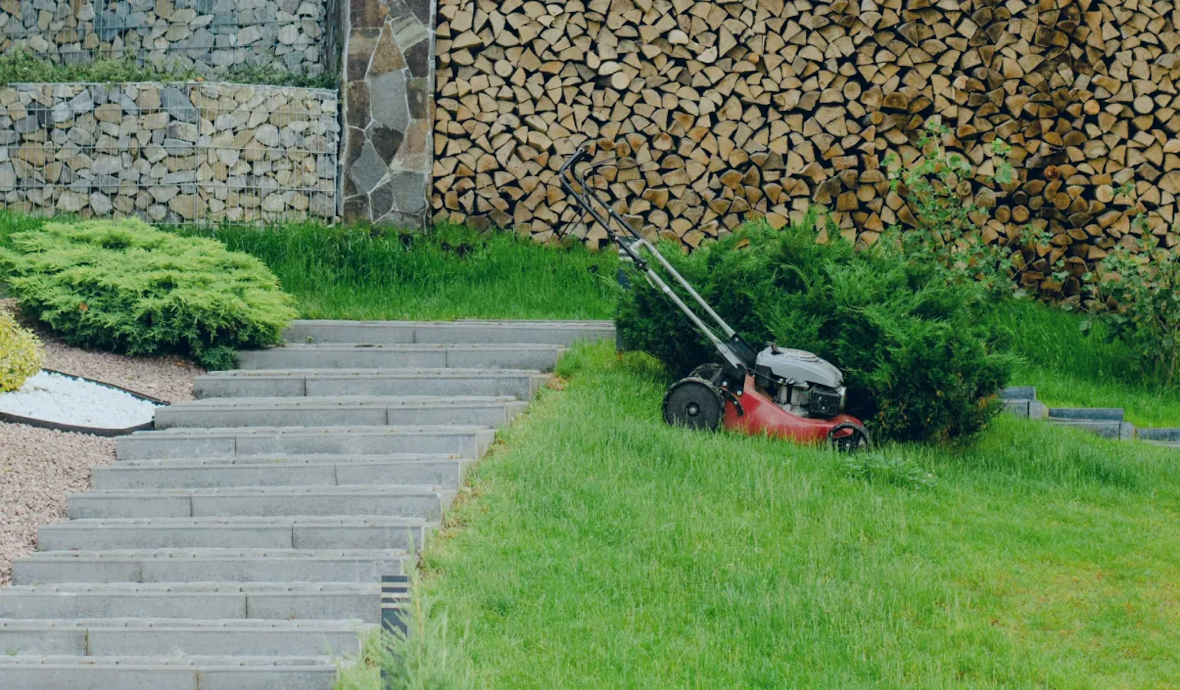 Ranking kosiarek ręcznych. Najlepsze kosiarki bez prądu