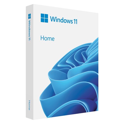 Program MICROSOFT Windows 11 Home